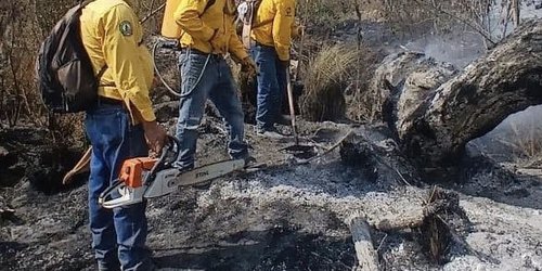 120 hectáreas afectadas por incendio forestal en el ejido Benito Juárez–Sabinito