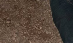 Matan a balazos a joven en el ejido El Refugio