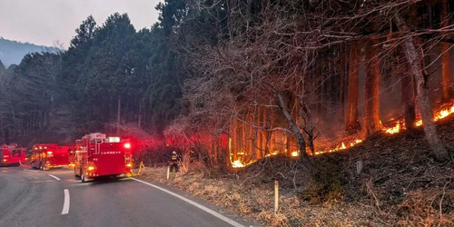 El mayor incendio japonés en décadas continúa propagándose al noreste