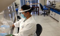 COVID-19 puede generar daño cerebral a mediano o largo plazo: IPICYT