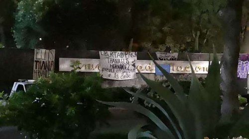 Manifestazciones-mirioverde.jpg