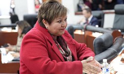 Buscan incluir en parlamento infantil a niños de pueblos indígenas y con discapacidad
