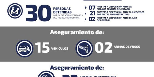 Detuvieron en un día a 30 personas por delitos varios en SLP