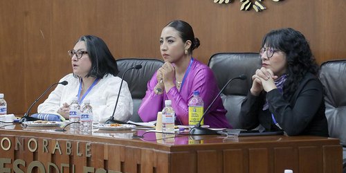 Plantean reforma al Código Penal para sancionar delitos sexuales contra niñas, niños y adolescentes