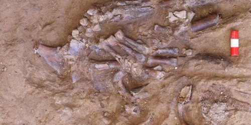 El cementerio que convirtió a los neandertales en humanos