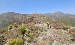 Vientos reactivan el incendio en Villa de Guadalupe