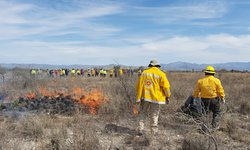 Capacitan a brigadas contra incendios forestales