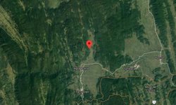 Sismológico Nacional reporta temblor en el municipio de Tamasopo