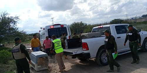 ¡Héroes con uniforme!: rescata un perrito La Guardia Civil Municipal de Villa de Pozos.