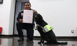 Reconocen a unidades caninas de Agricultura por proteger patrimonio agroalimentario de México