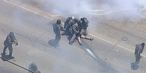 Redadas migratorias en dos granjas de cannabis en California terminan con cinco hospitalizados y decenas de detenidos