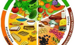 Priorizar alimentación sana durante temporada, pide Secretaría de Salud