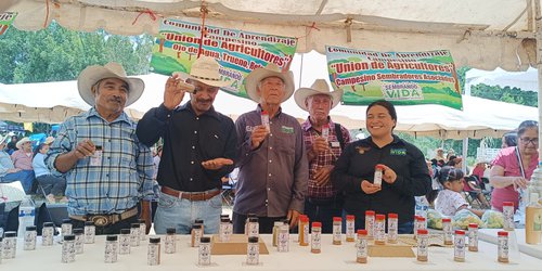 Productores de Lagunillas impulsan sazonadores naturales y logran exportación a EE.UU.