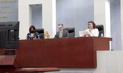 Con reformas al código penal del estado precisan el concepto de relación de hecho