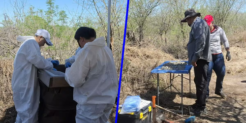 ¿Campo de exterminio en Reynosa? Fiscalía de Tamaulipas asegura que es una funeraria en obra negra