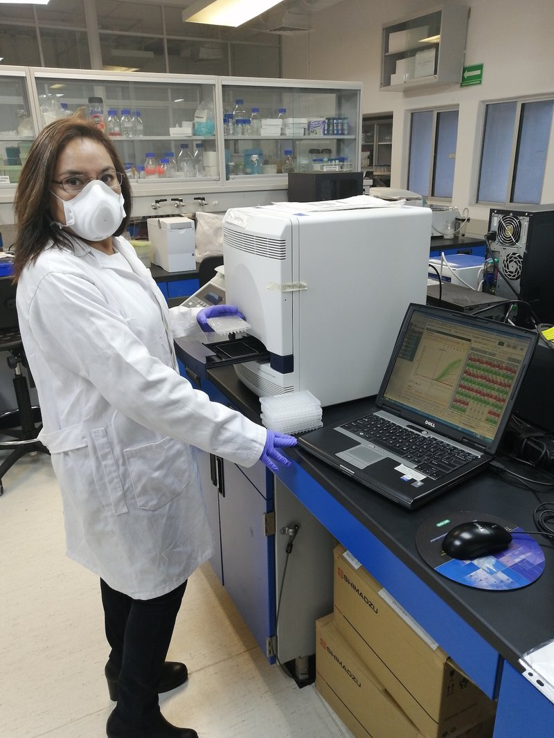 Técnica del Lanbama analizando pruebas PCR.jpg