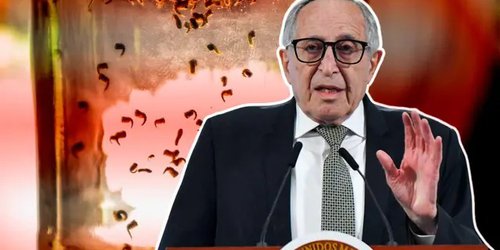 Cinco estados concentran los casos de dengue; Ssa desarrollará vacuna