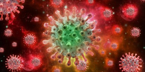 OMS mantiene alerta máxima por aumento de casos de mpox ¿Qué riesgos implica?