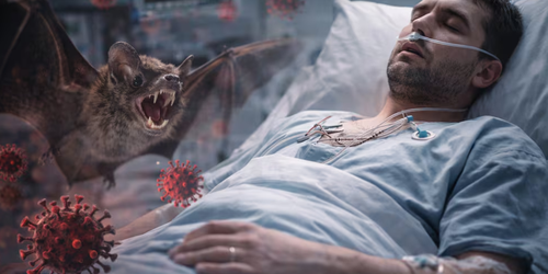 Virus Nipah India. Cómo se contagia, ¿de persona a persona? ¿Llegará a México? Síntomas que debes vigilar.