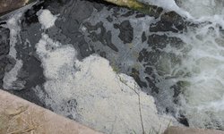 Aumenta riesgo a la salud de pobladores de Miguel Hidalgo por río contaminado