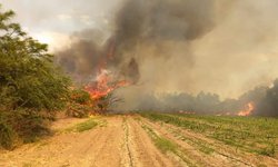 Incendio en La Reforma alertó a pobladores