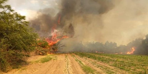 Incendio en La Reforma alertó a pobladores