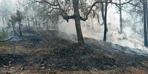 Incendio en sierra de Bagres controlado a un 95% dice CONAFOR