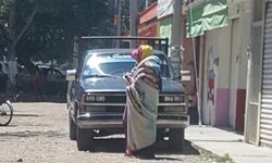 Mujer herida por ataque de enjambre de abejas en El Refugio