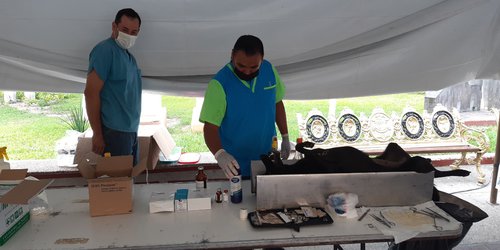 Más de 700 mascotas serán beneficiadas con jornada de esterilización