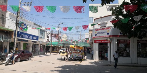 Pareja sustrae bolsa de mujer con 15 mil pesos