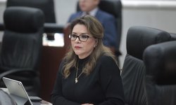Registro Público debe otorgar certificado de no inscripción de bien inmueble