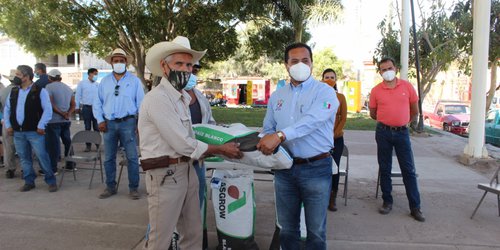 Entregan semilla subsidiada de maíz elotero a productores rioverdenses