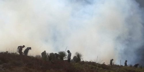 Incendio forestal en Villa de Guadalupe alcanza zona urbana