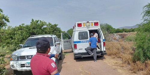 Enjambre de abejas ataca a dos adultos mayores en Adjuntas
