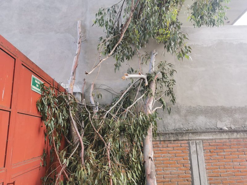 WhatsApp Image 2021-04-20 at 11.09.23 AM (1).jpeg