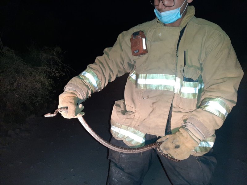 WhatsApp Image 2021-04-24 at 9.58.26 PM (2).jpeg