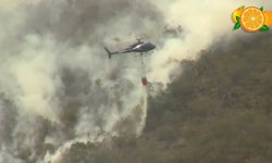 De mal en peor la sierra de Rioverde por falta de lluvias