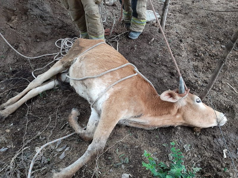 WhatsApp Image 2021-05-13 at 12.23.12 PM.jpeg