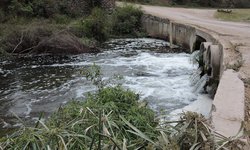 Denuncian ante Profepa contaminación de aguas  del río verde