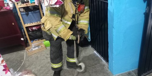 Capturan víbora en céntrico domicilio de Ciudad Fernández