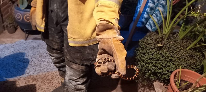 WhatsApp Image 2021-10-14 at 11.03.53 PM (1).jpeg