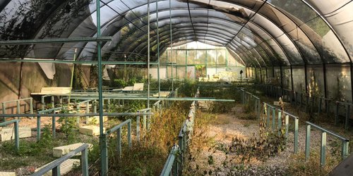 Encontraron invernadero municipal abandonado: También área de Ecología
