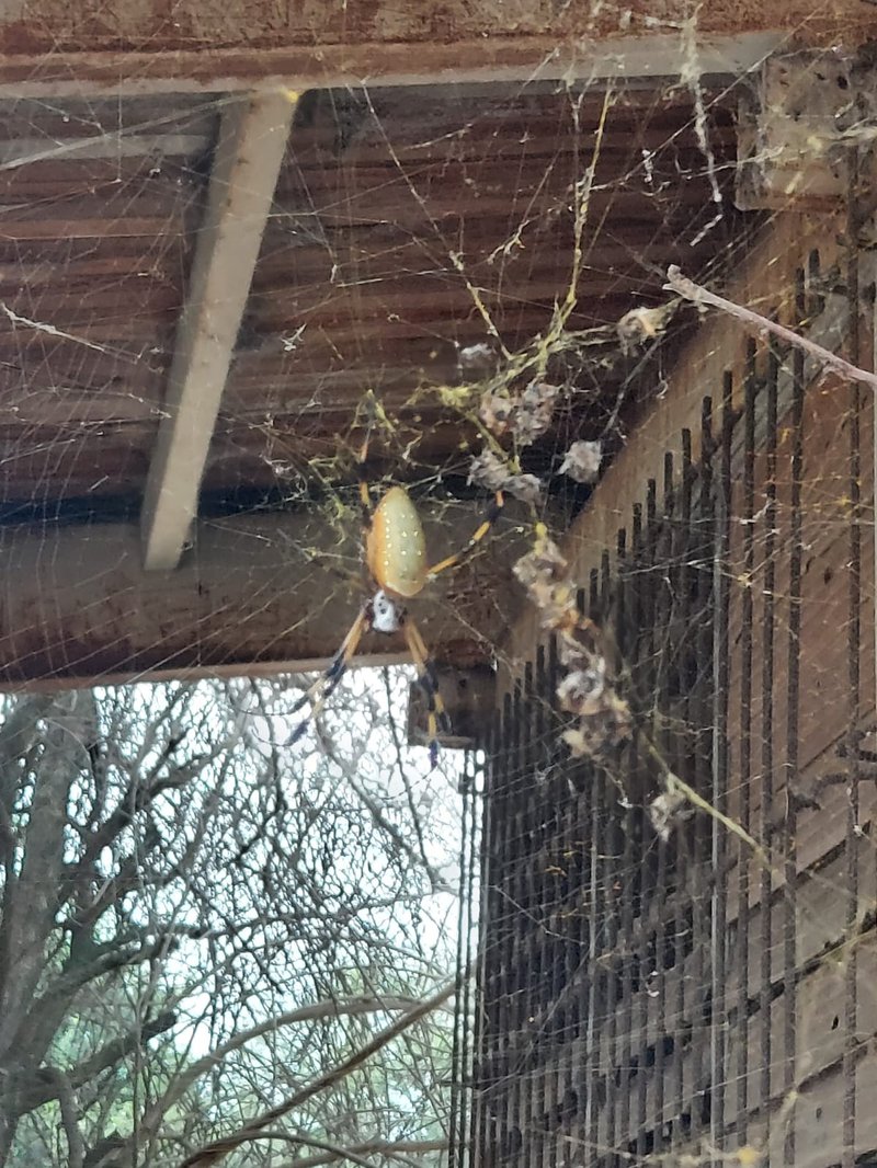 WhatsApp Image 2021-10-25 at 8.19.46 PM (1).jpeg