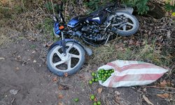 Ladrón de huertas fue sorprendido, y dejó abandonada la moto