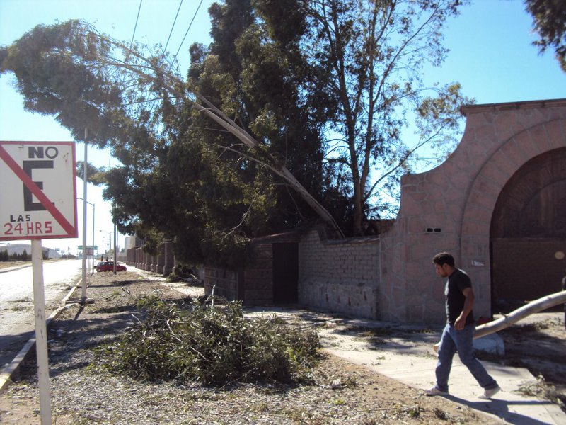 WhatsApp Image 2022-03-09 at 9.00.25 AM.jpeg