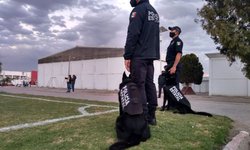 Redoblan vigilancia en las cinco unidades deportivas del INPODE