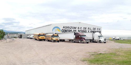 Invernaderos mantienen tasa cero de desempleo en La Ribera