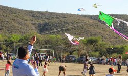 Exitoso festival del papalote en la ribera fernandense