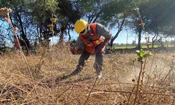 Arranca el gobierno de CDFDZ la campaña “Patrimonio limpio y seguro”