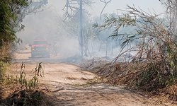 Se registró incendio en camino al Zancudo